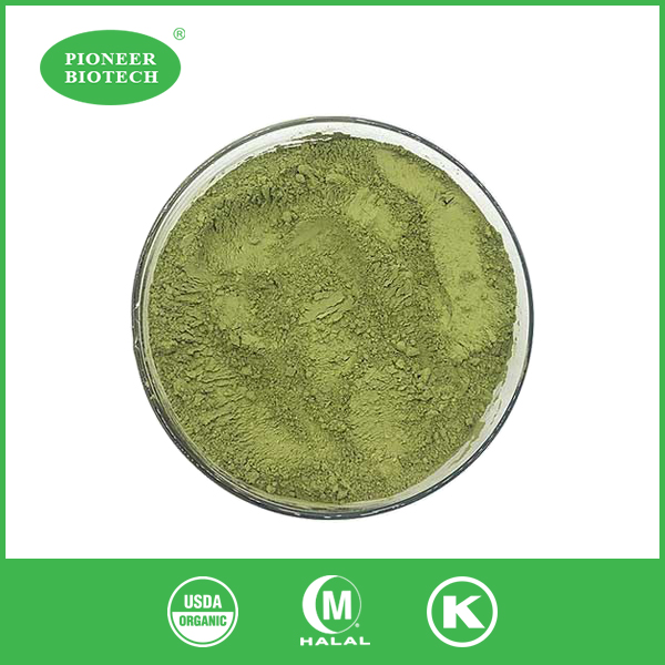 green tea leaf powder extract